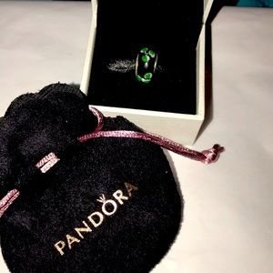 Nice Pandora Charm Comes With Velvet Pandora Pouch